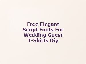 Elegant Handwritten Fonts for Diy Wedding Guest T-Shirts